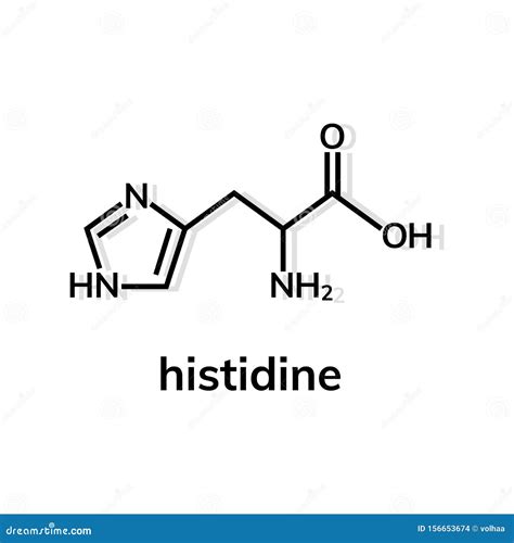 Histidine amino acid stock vector. Illustration of background - 156653674