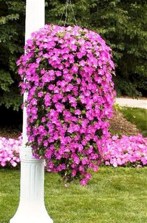 30 Beautiful Cascading Planter Ideas That Will Enhance Your Backyard Home | Hanging flower ...