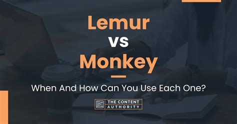 Lemur vs Monkey: When And How Can You Use Each One?