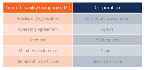 Limited Liability Company (LLC) (2023)