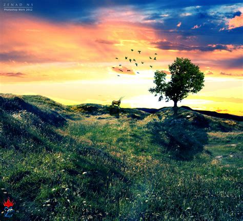 peaceful nature by ZedLord-Art on DeviantArt