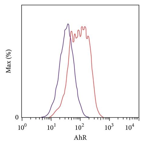 AhR expression in CRE-treated human lung fibroblasts. (a) AhR ...