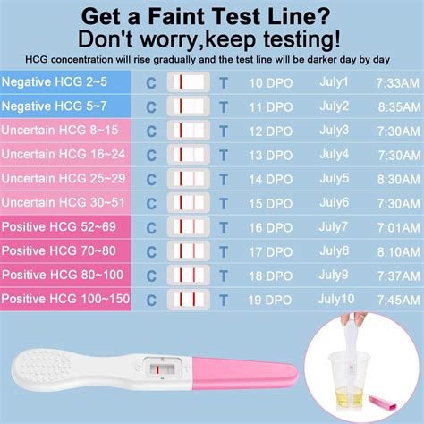 Docalon Early Pregnancy Test Kit - 2 Clear & Accurate At-Home Tests ...