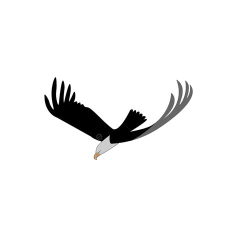 Eagle Swooping Down To Grab Prey Illustration In Transparent Background, Eagle, Swoop, Fly PNG ...