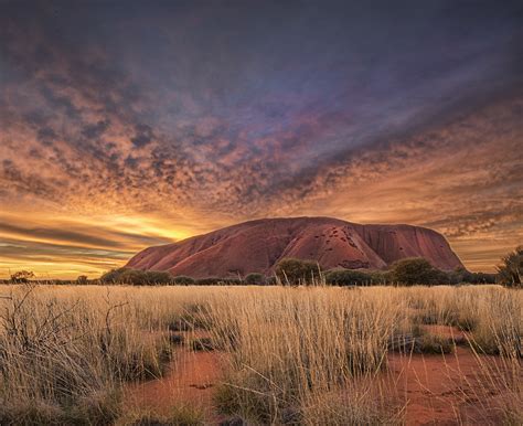 Uluru Sunrise – Stef Dunn