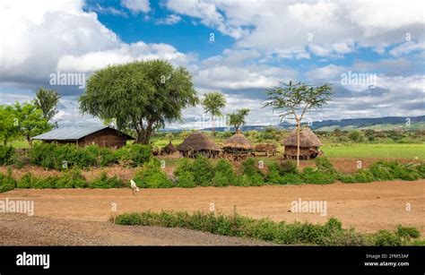 Ethiopian landscape with traditional ethiopian houses, small farm with ...