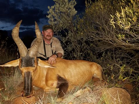 SOUTH AFRICA: Hunt With White Lion Safaris | AfricaHunting.com