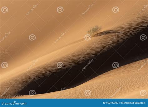 Sand dunes in lut desert stock image. Image of place - 169403309