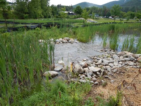 Lessons Learned from a Stormwater Wetland Treatment System - Ecological ...