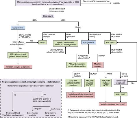 Stages Of Aml Treatment | ticket-industry-sales