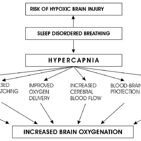 (PDF) Role of hypercapnia in brain oxygenation in sleep-disordered ...