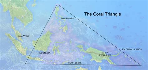 The Coral Triangle | Asian Development Bank