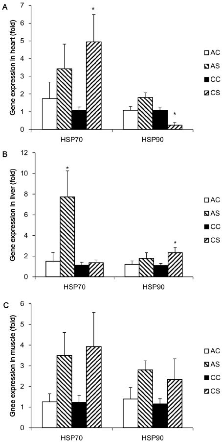 Normalized gene expression of HSP 70 and 90 after acute and chronic... | Download Scientific Diagram