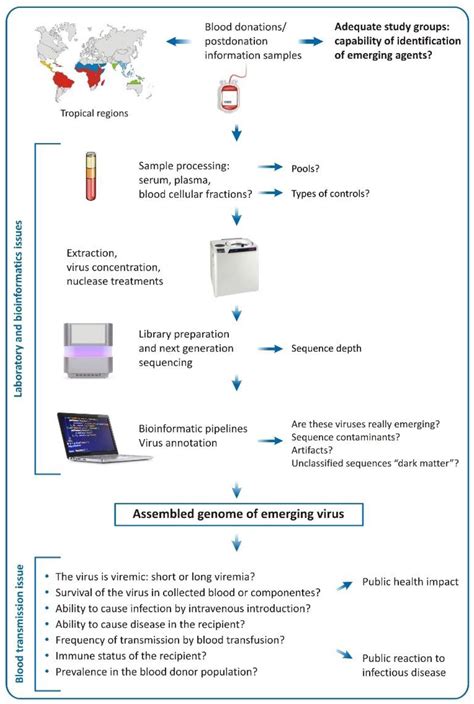 Viruses | Free Full-Text | Viral Metagenomics for Identification of ...