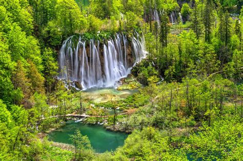 Download Green Tree Forest Nature Waterfall HD Wallpaper