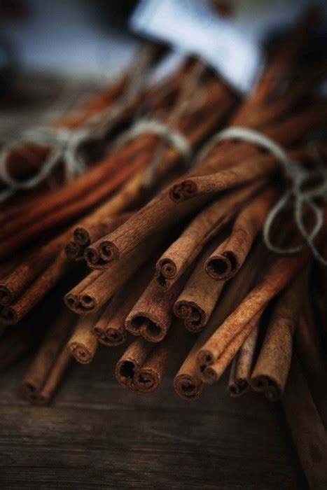 Cinnamon Sticks Pictures, Photos, and Images for Facebook, Tumblr ...