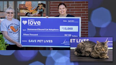 Newly Named Petco Love Invests in Lifesaving Work of Homeward Bound Cat ...