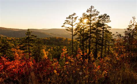 Ouachita Mountain Range Stock Photos, Pictures & Royalty-Free Images - iStock