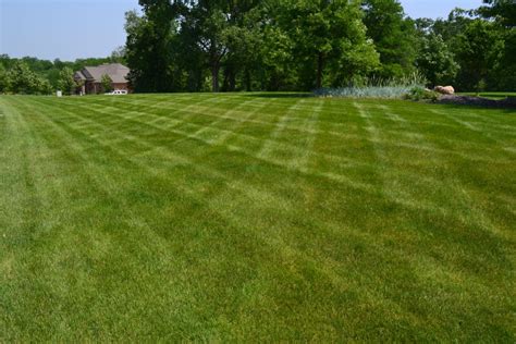 Lawn Mowing Photos of Residential and Commercial Turf Grass Patterns