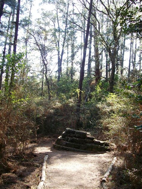 lostpines04 | Bastrop State Park, Bastrop, Texas. Hiking thr… | Flickr