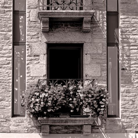 Window And Flowered Balcony Free Stock Photo - Public Domain Pictures
