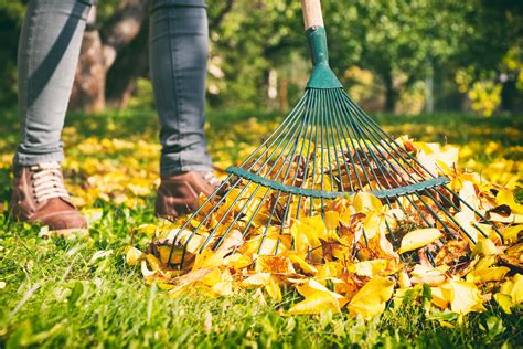 Do You Really Need To Rake Up Leaves? | Chatelaine