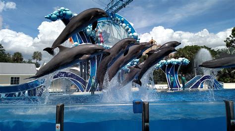 SeaWorld Tickets - Buy One Get One Free Flash Sale