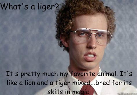 What's a liger? It's pretty much my favorite animal. It's like a lion and a tiger mixed…...bred ...