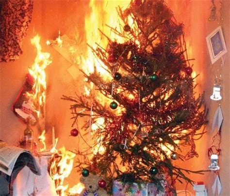 Christmas Tree Fire Safety