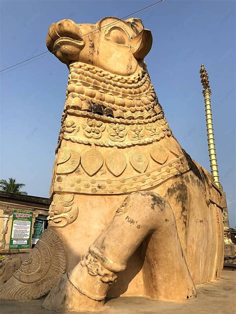 Monumental Nandhi Bull Statue At Brihadeeswarar Temple In Gangaikonda ...