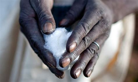 World Cotton Day 2023 – Geneva Environment Network