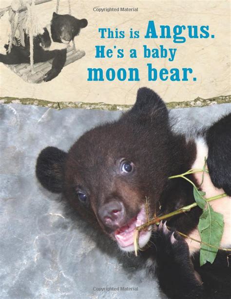 Moon Bears