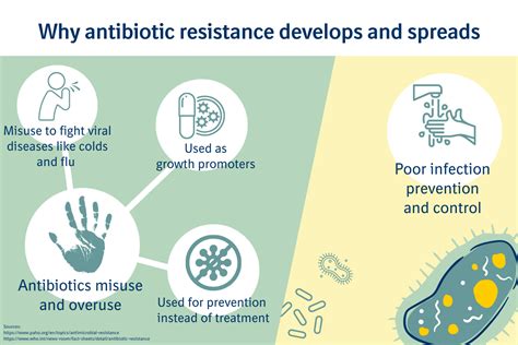 antibiotic resistance one health veterinary medicine | Boehringer Ingelheim