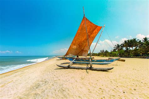 10 Best Things to do in Negombo, Western Province - Negombo travel guides 2021– Trip.com