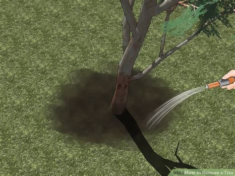 3 Ways to Remove a Tree - wikiHow