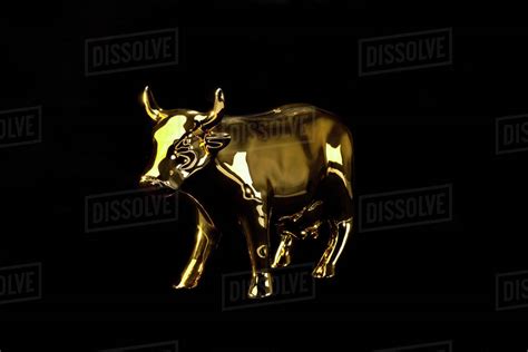 A golden bull - Stock Photo - Dissolve