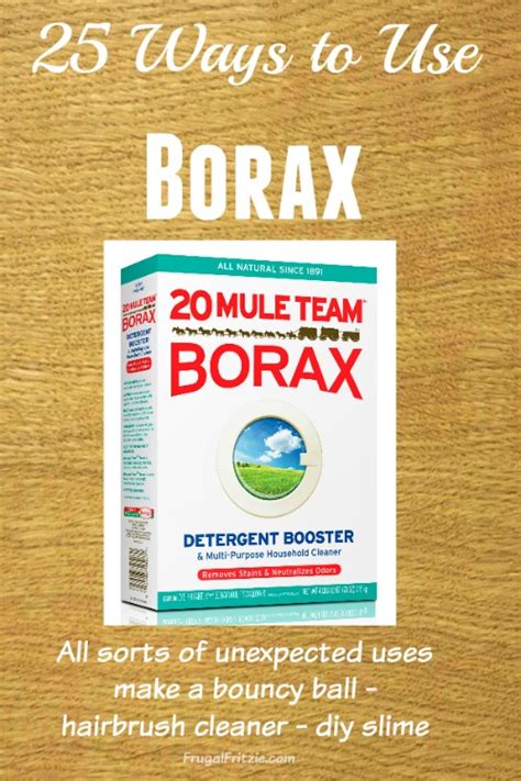 25 Ways To Use Borax (use what you have)