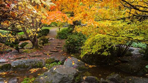Oregon Fall Foliage 2024 Forecast - Addy Lizzie