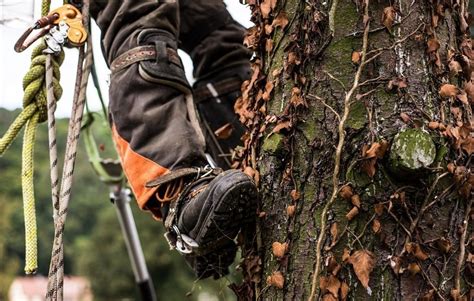 Chainsaw Safety: 7 Tips to Prevent Accidents When Using a Chainsaw