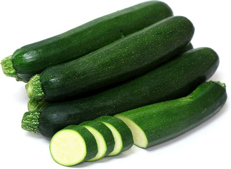 Zucchini Squash Information and Facts