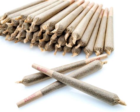 The Cannabis Preroll and Its Variations - HOLYOKE CANNABIS