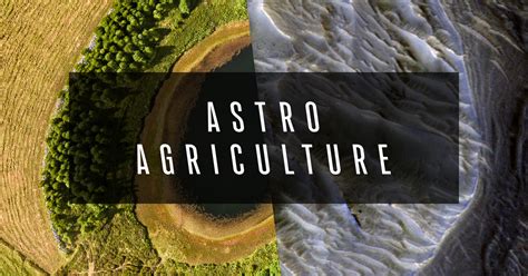 Astroagriculture: How We’ll Grow Food on Mars | Digital Trends