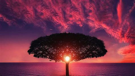 Purple Sky Wallpapers - Top Free Purple Sky Backgrounds - WallpaperAccess