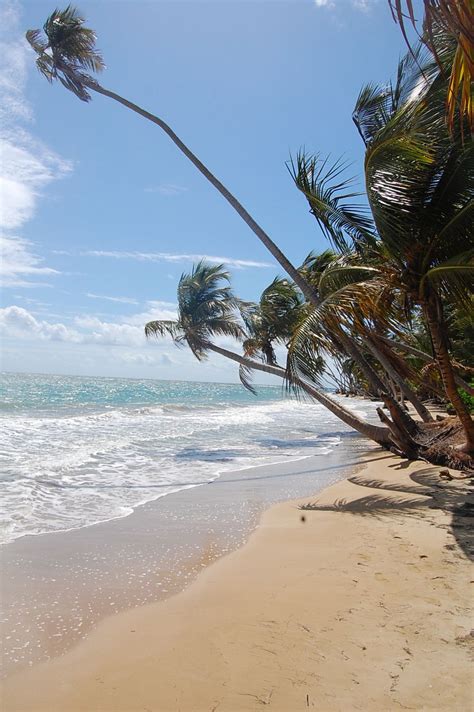 Humacao, Puerto Rico | Things to do in puerto rico, Puerto rico island, Humacao