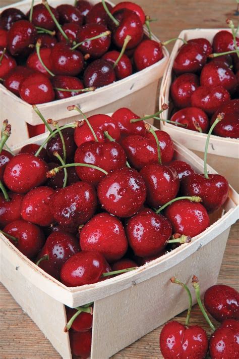 Boxes of Washed Bing Cherries - Prepared Food Photos, Inc.