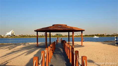 Creek Park Dubai: Things to Do, Location, What to Expect | Dubai OFW