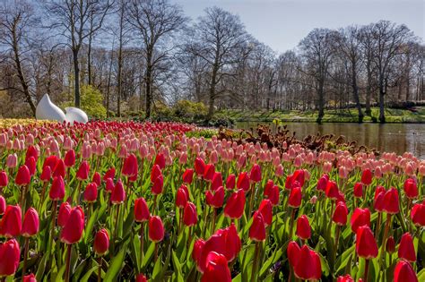 Keukenhof creates visual tours • AIPH