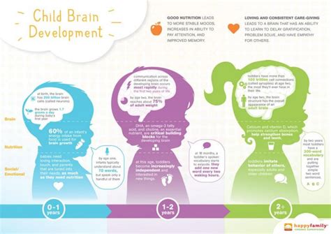 Child Care Aware of Virginia Food for Thought, How Nutrition Affects Brain Development