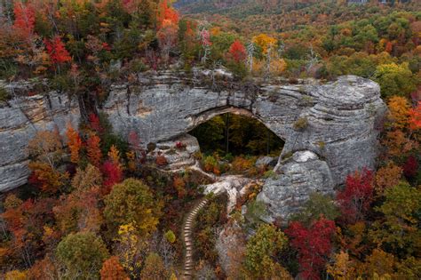 The Best Spots to Experience Kentucky Fall Foliage - Minneopa Orchards