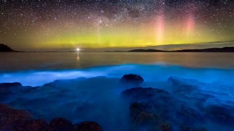 La Parguera Bioluminescent Bay Puerto Rico | Island Lourneys